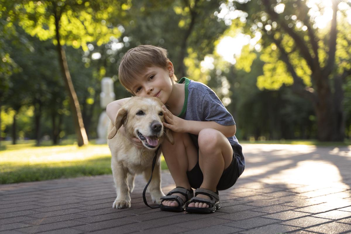 Hunde fur Kinder