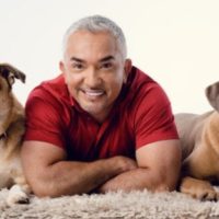 Cesar Millan