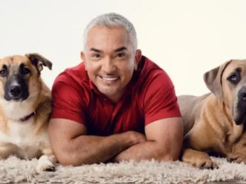 Cesar Millan: Rat vom Hundeflüsterer