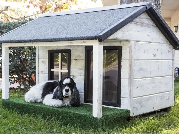 Hundehütte: Die perfekte Hundehütte für ihren Hund