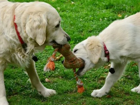 12 seltsame Verhaltensweisen