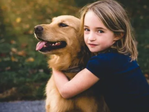 Wie überredet man seine Eltern, sich einen Hund anzuschaffen?