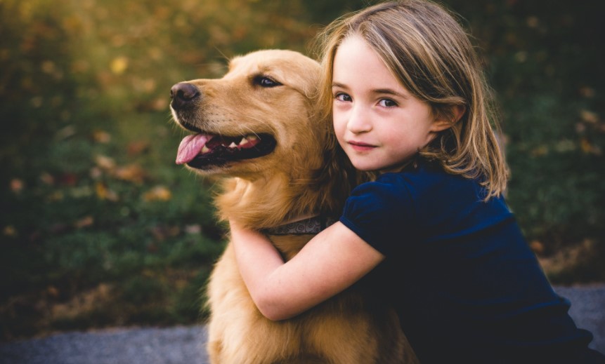 Wie überredet Man Seine Eltern Einen Hund Zu Kaufen hundee.de