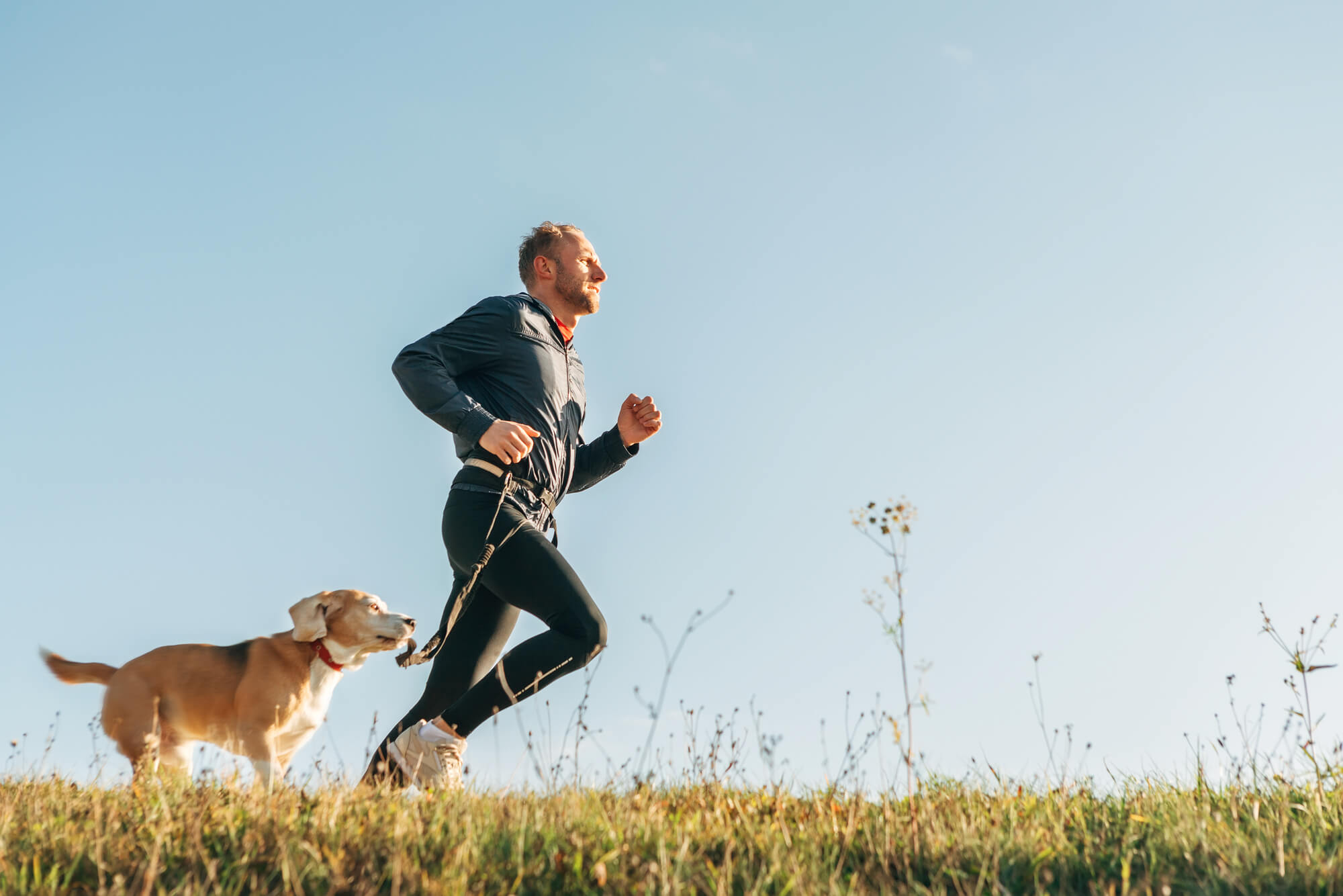 Canicross - mit Hund laufen