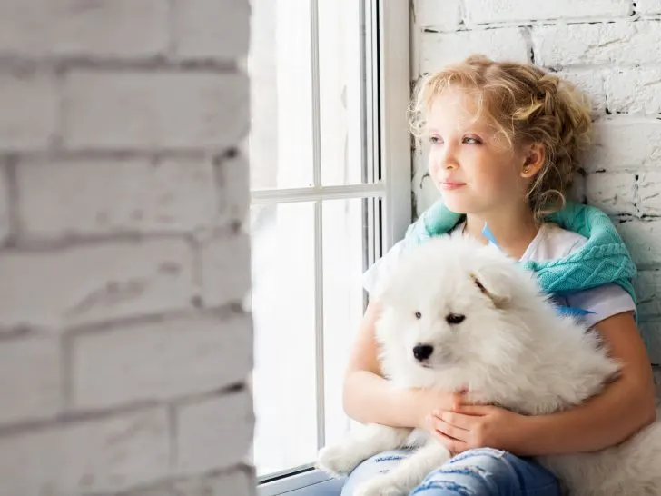 Flauschige kleine Hunderassen: 21 Niedliche Begleiter & Fotos