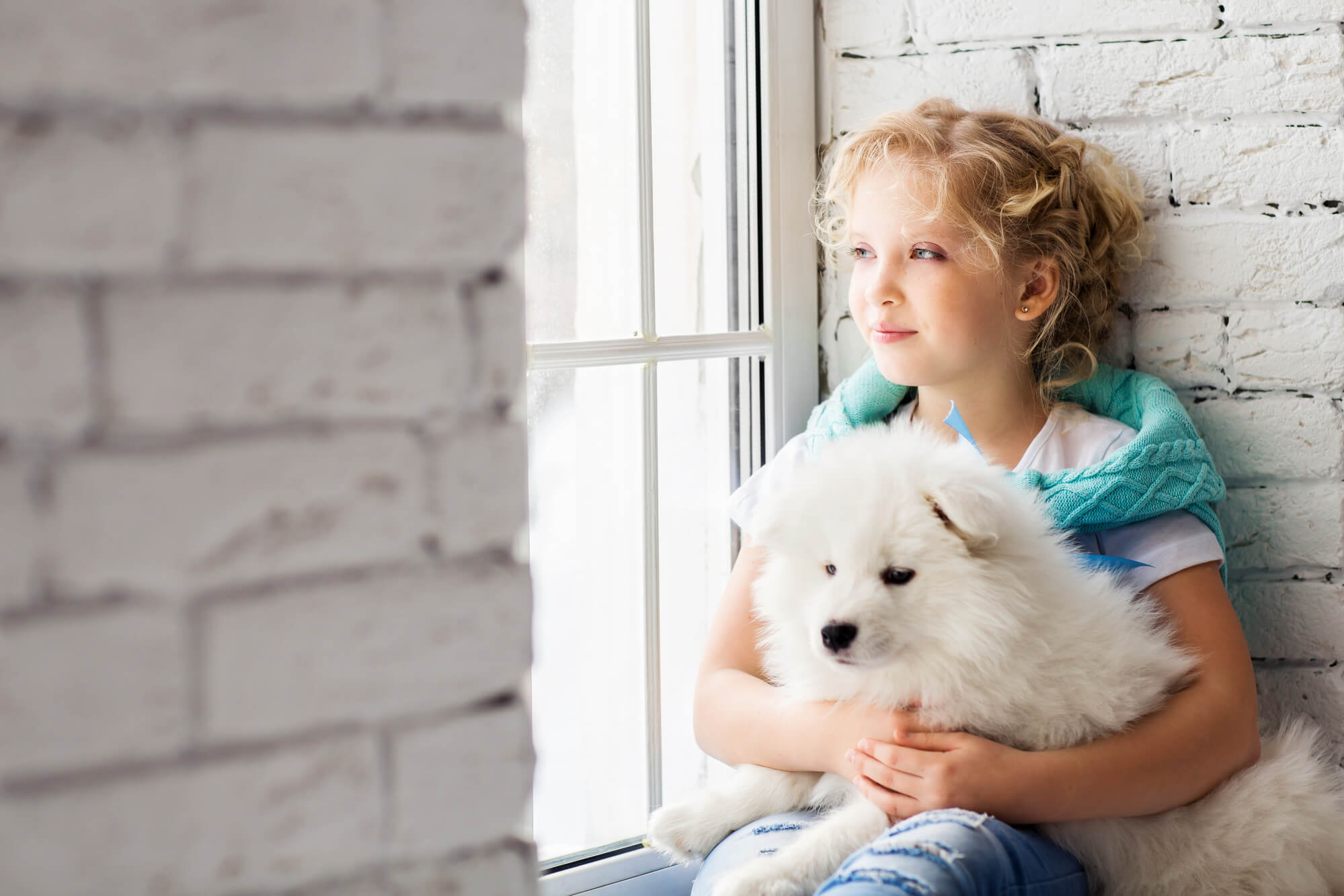 Flauschige kleine Hunderassen