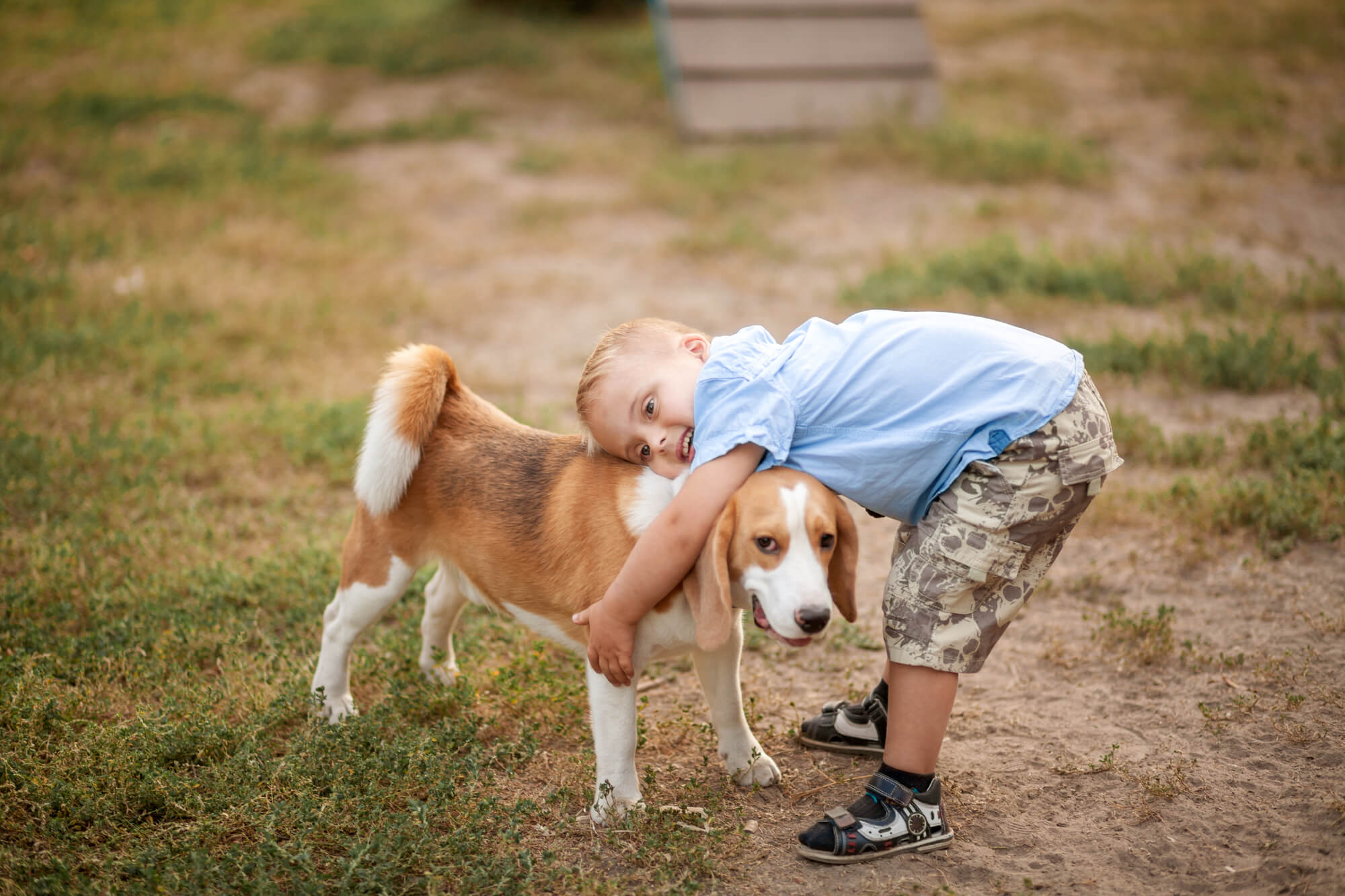 Hunde mit Down-Syndrom