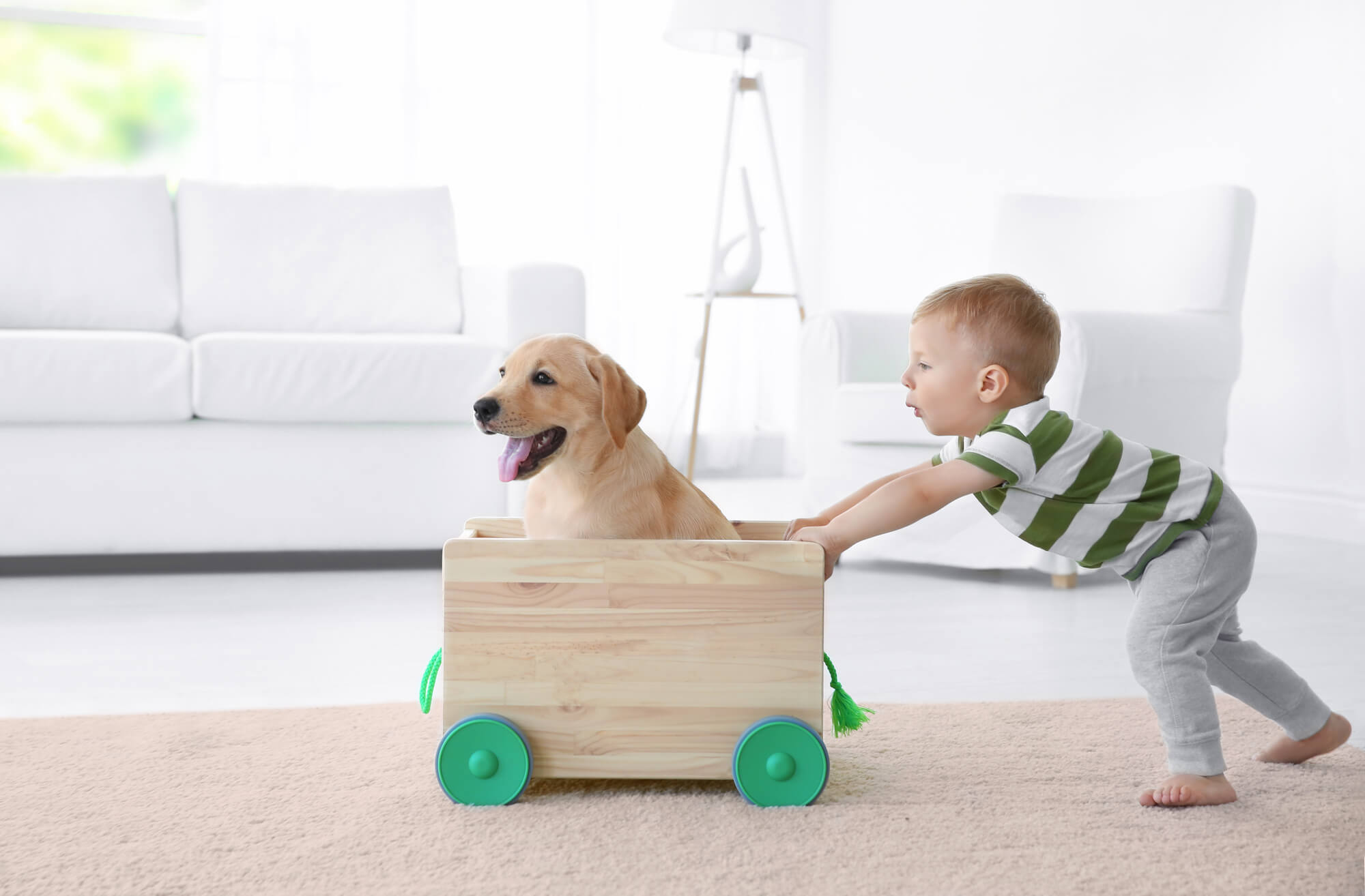 Wie Sie Ihren Hund wohlfühlen lassen können, wenn er bei Kindern ist