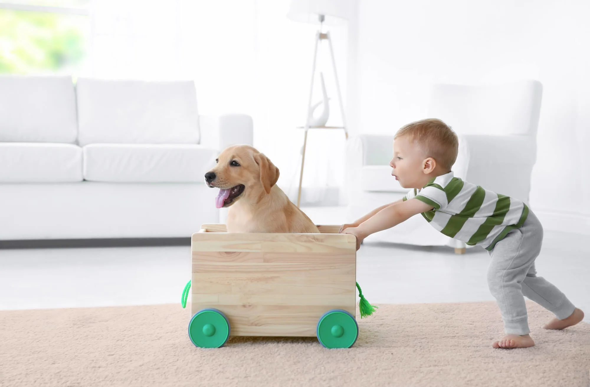 Wie Sie Ihren Hund wohlfühlen lassen können, wenn er bei Kindern ist